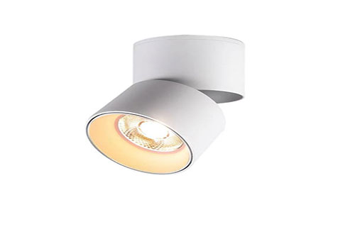 Đèn lon ốp trần - Giải pháp chiếu sáng hoàn hảo cho mọi không gian