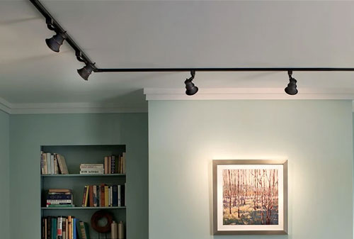 Hướng dẫn mua đèn rọi ray