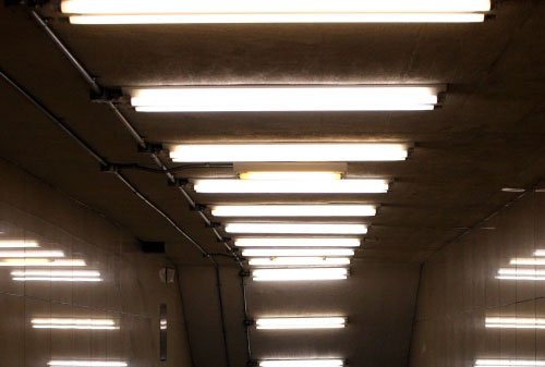 Máng Đèn LED 1m2: Giá Rẻ, Chất Lượng Tốt, Ưu Điểm Vượt Trội