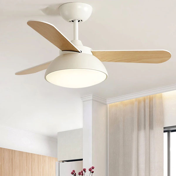 Nên mua Quạt trần Gỗ tự nhiên nguyên khối hay Gỗ Plywood (Gỗ ép)? Sự thật về độ bền