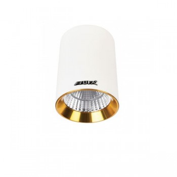 Đèn downlight ống bơ nổi 10W HP-LN19