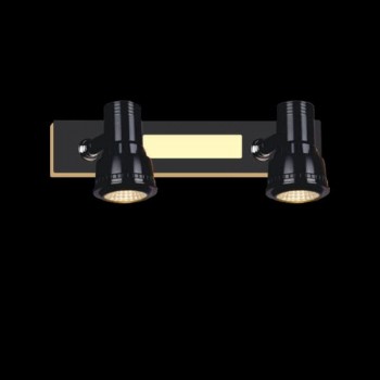 Đèn rọi tranh phòng khách led COB ánh sáng vàng loại 2 bóng HP-SG951/2