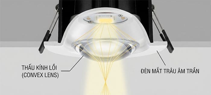 Cấu tạo thấu kính lồi của đèn mắt trâu âm trần