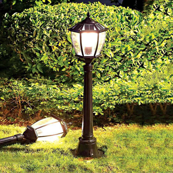 Đèn nấm năng lượng mặt trời cao 60cm lắp đặt xen kẽ trong bồn hoa hồng