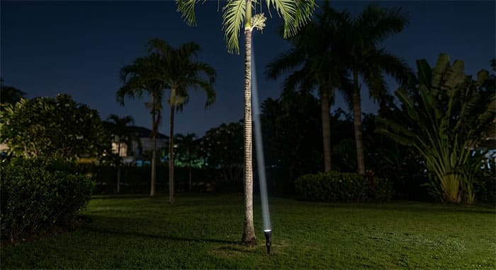 Mô phỏng đường đi của tia sáng đèn rọi bãi cỏ góc chiếu hẹp áp dụng cho cây cau kiểng