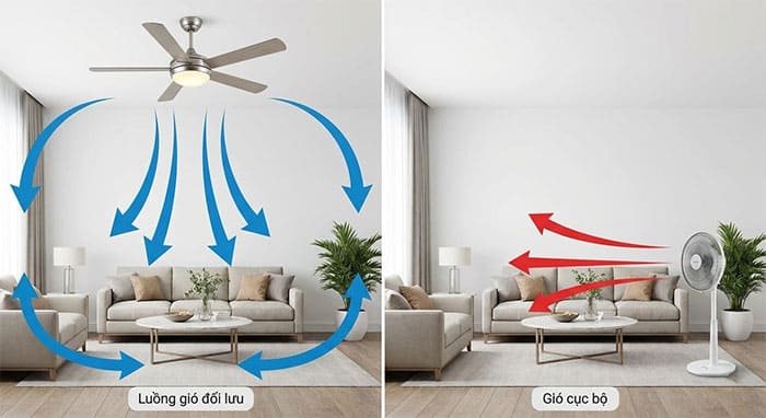 Sơ đồ luồng gió đối lưu của quạt trần so với gió cục bộ của quạt cây