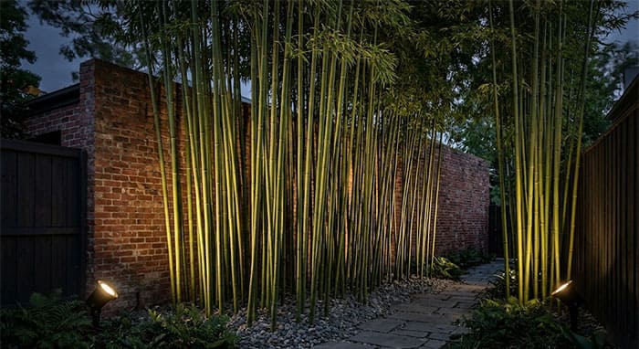 Ứng dụng kỹ thuật chiếu xiên đan chéo Cross-lighting cho đèn rọi khóm tre trúc
